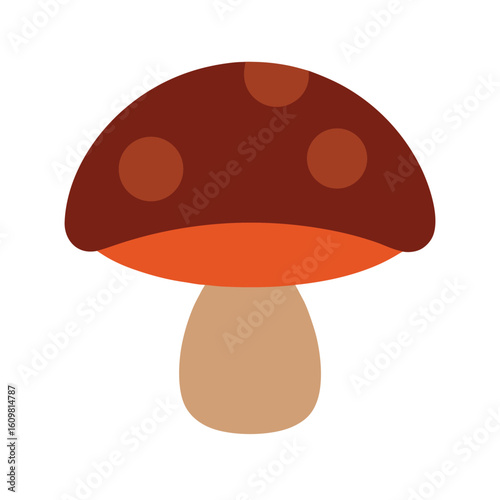 mushroom with a flat brown cap