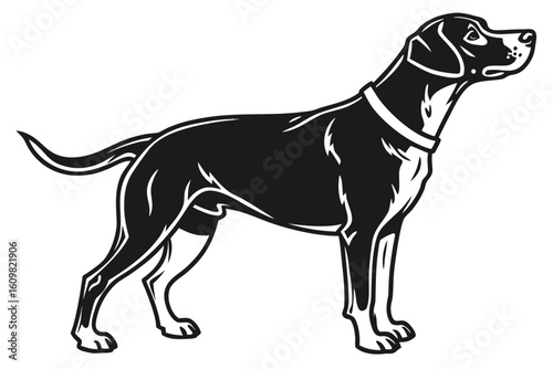 charlie dog sihouette black vector
