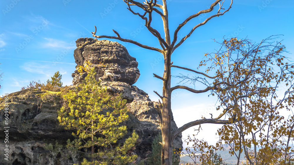 Fototapeta premium Huge boulders of the sandstone mountains of the Saxon Switzerland National Park. Close-up