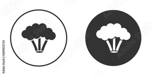 Broccoli icon Symbol, logo illustration. Vector graphics for web.
