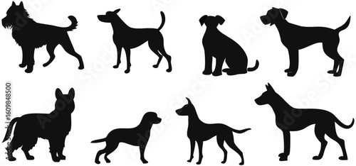 Silhouette dogs breeds vector illustration collection pet animal canine domestic mammal puppy purebred doggy dogs on transparent background