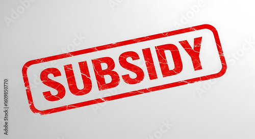 A red rubber stamp with the word subsidy is isolated on a white background