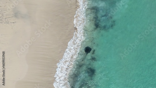 Aerial Drone View of Stingray at Hamelin Bay Beach in Western Australia