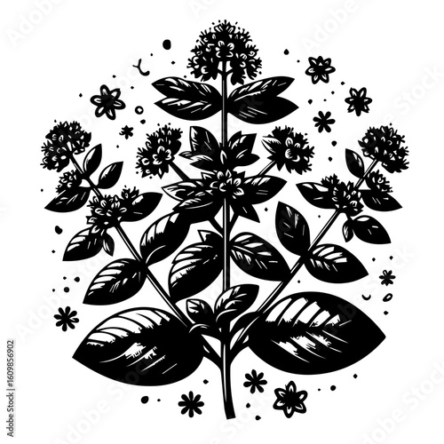 Black and White Stylized Herb Plant with Flowers.
