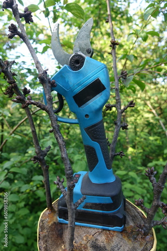 Pruning trees with electric pruning shears branch cutter automatic with battery to easyprune branches of trees. Gardening electric tool equipment.