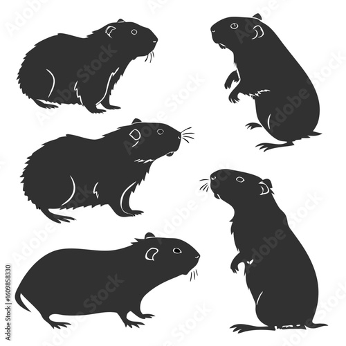 Guinea Pig Silhouette Set: 6 Free Designs in SVG, PNG, and Printable Formats