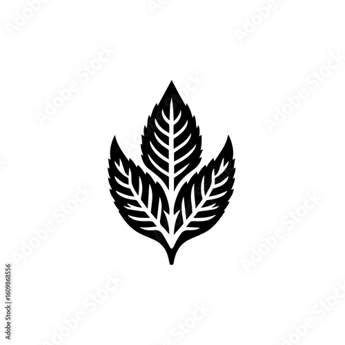 Black Silhouette of Three Mint Leaves.
