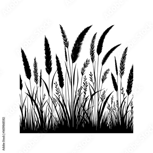 Black Silhouette of Tall Grasses and Reeds.