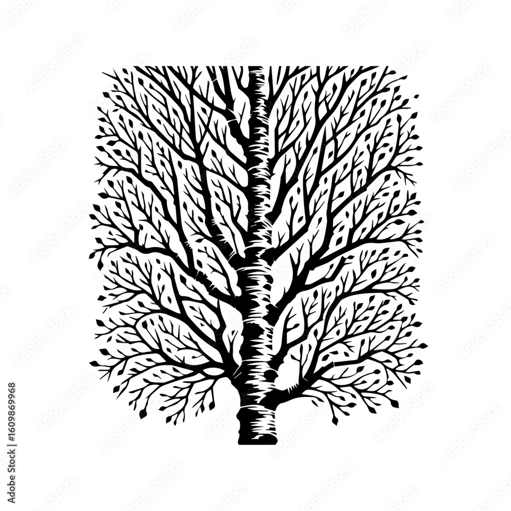 Obraz premium Stylized Black and White Tree Silhouette with Delicate Branches.