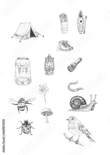Pen and ink illustration of various camping and nature elements