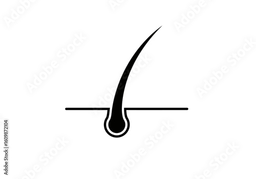 Understanding the Anatomy and Growth Cycle of a Human Hair Follicle and Shaft Scientific Illustration Showing a Single Hair Strand Emerging from the Skin Layer Deep within the Epidermis