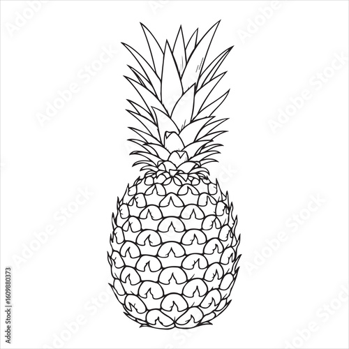 Black and white line drawing of a pineapple fruit tropical 1