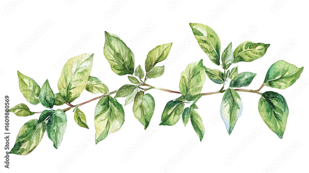 Obraz premium Watercolor frame with space for text, suitable for botanical branding and packaging isolated on transparent background 