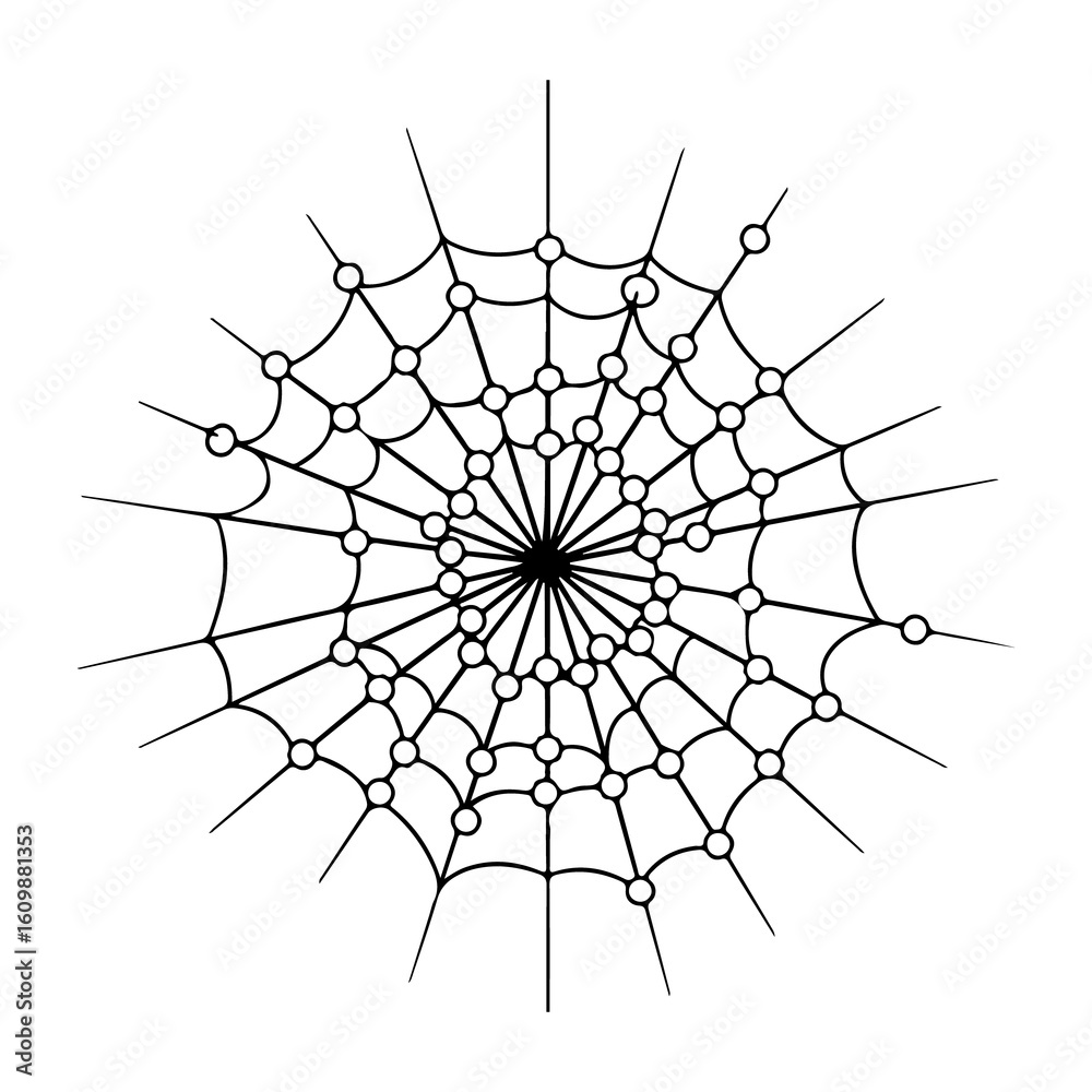 Obraz premium Black and white spider web pattern with circular nodes
