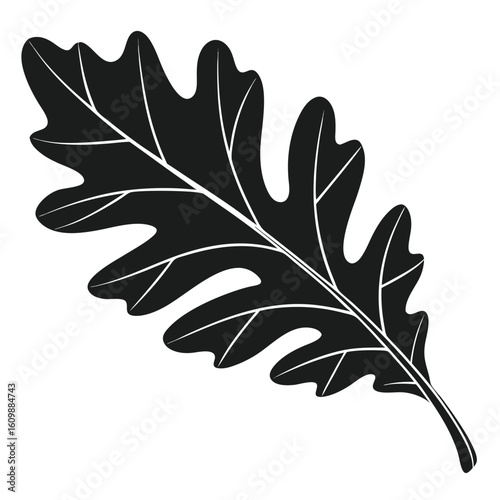 Isolated oak leaf displays intricate vein details, presented in a bold black silhouette against transparency