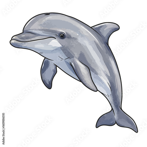 Happy jumping dolphin illustration isolated on white background marine animal