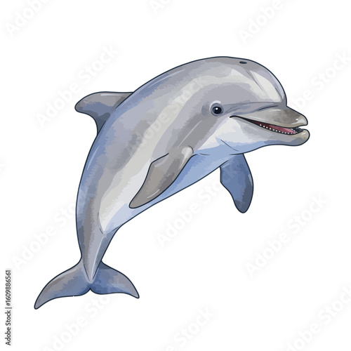 Smiling Gray Dolphin Leaping Out of Water Illustration Isolated on White Background
