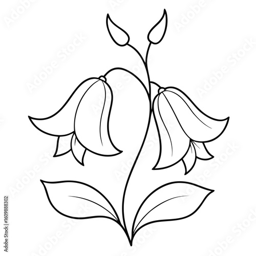 Canterbury Bells Flower Coloring Pages – Floral, Garden, Bloom, Nature, Botanical, Spring, Printable Coloring Pages

