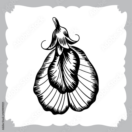 Detailed Black and White Line Art of a Sweet Pea Flower