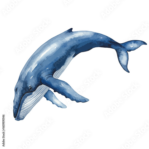 Blue whale watercolor illustration isolated on white background marine animal art