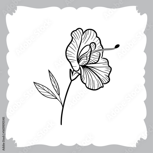 Line Art of a Pea Flower, Showing Petals, Stem, and Leaf