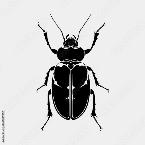 Beetle Isolated Icon Graphic Beetle Black Color Vector Artwork