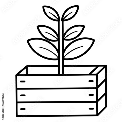 Plant Growing from Wooden Crate Coloring Pages – Nature, Garden, Growth, Outline, Kids, Printable, Rustic

