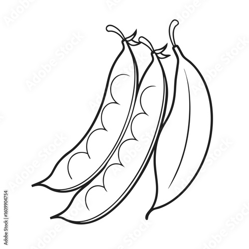Snap Peas Vegetable Coloring Pages – Healthy, Fresh, Garden, Outline, Kids, Printable, Fun

