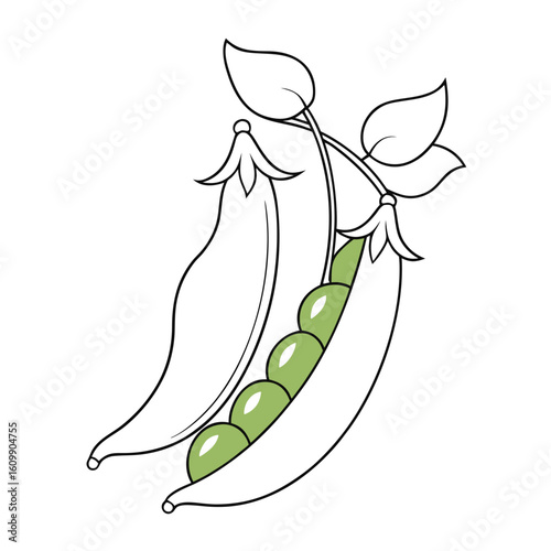 Snap Peas Vegetable Coloring Pages – Healthy, Fresh, Garden, Outline, Kids, Printable, Fun

