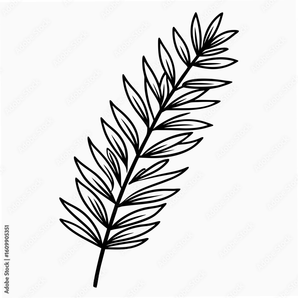 Fototapeta premium Spruce Branch Pine Tree Coloring Pages – Printable, Outline, Nature, Evergreen, Kids, Easy