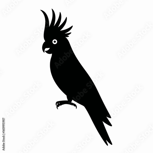 Black Silhouette of a Cockatoo Bird Design