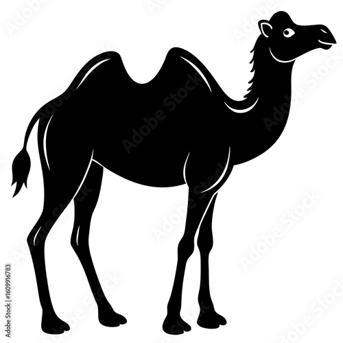 camel in the desert on white background 