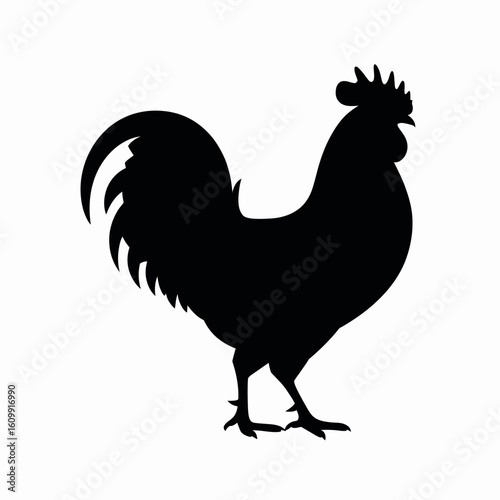 Rooster Silhouette on White Background