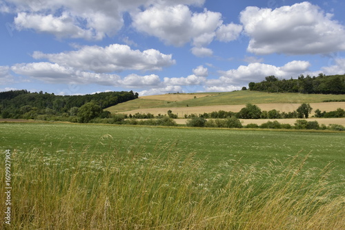 Fototapeta Naklejka Na Ścianę i Meble -  Landschaft und Ausblick bei Einbeck