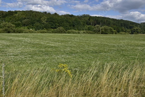 Fototapeta Naklejka Na Ścianę i Meble -  Landschaft und Ausblick bei Einbeck