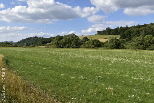 Fototapeta Naklejka Na Ścianę i Meble -  Landschaft und Ausblick bei Einbeck