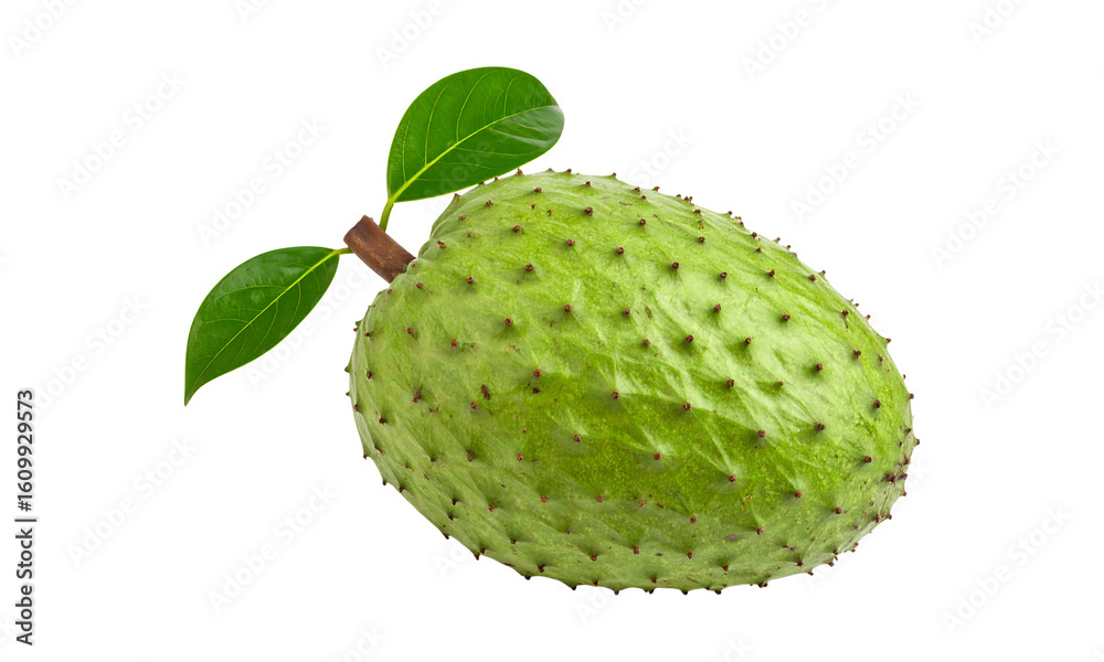 Fresh soursop fruit with green leaves isolated on transparent background Fresh soursop fruit with green leaves isolated on transparent background