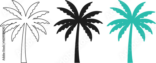 Three palm tree illustrations in different styles outline black and teal on white background