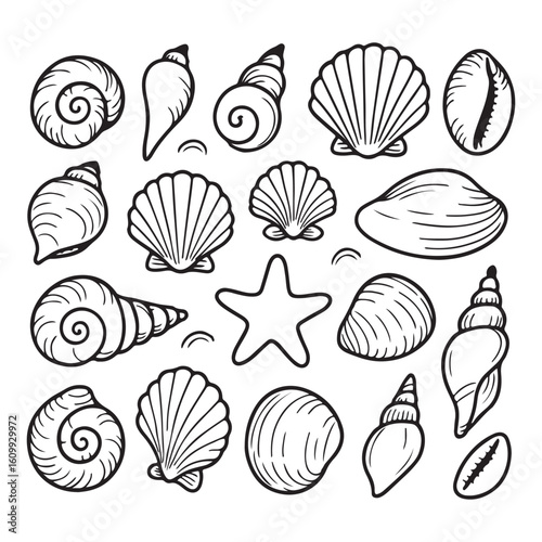 Black and White Line Art of Seashells and Starfish, Beach and Ocean Inspired, Perfect for Coloring Books and Nautical Designs
