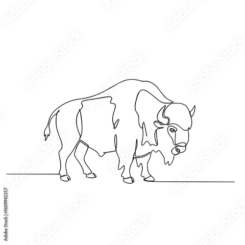 Single line drawing of a bison standing on plain background  