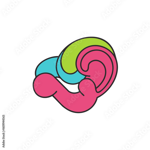 Vector illustration of cochlea shape diagram flat on white background, medical