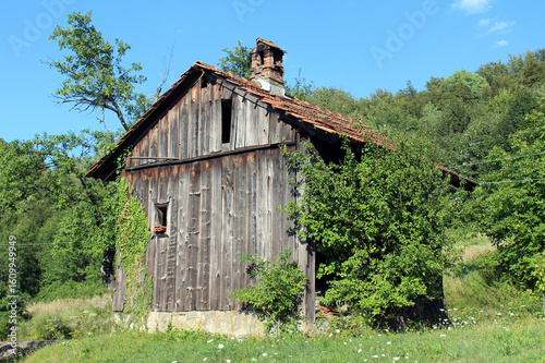 A rustic wooden cottage with red tile roof and crumbling chimney sits in overgrown grass with wild shrubs, brambles, and common ivy hedera helix climbing its walls