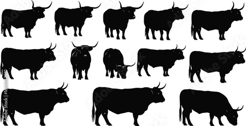 Cow Silhouette Vector Pack — Twelve Black Shapes in Varied Poses, Horn Styles, and Tail Gestures for Farming, Icons, and Design