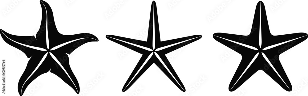 Silhouette Vector Set of Starfish in CAD Style, Marine Creature Icons with Unique Arm Shapes, Sea Life Illustration for Nature Concept Silhouette Vector Set of Starfish in CAD Style, Marine Creature Icons with Unique Arm Shapes, Sea Life Illustration for Nature Concept