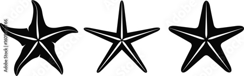 Silhouette Vector Set of Starfish in CAD Style, Marine Creature Icons with Unique Arm Shapes, Sea Life Illustration for Nature Concept