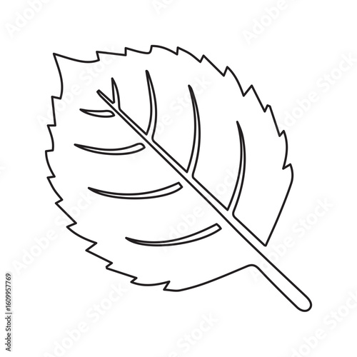 Birch leaf line icon