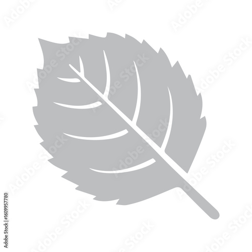 Birch leaf icon