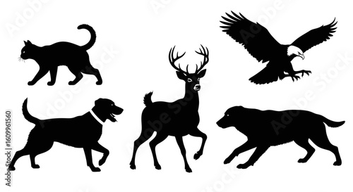 Silhouette illustration of various animals in motion, including a cat, deer, eagle, and dogs.