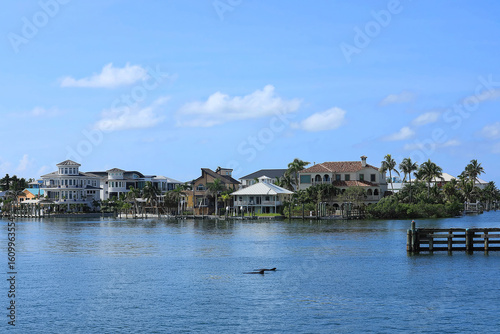 Dolphins swim in the Matanzas Pass Waterways, by waterfront homes, timeshares and resorts, steps away from Times Square in Fort Myers Beach, Florida, USA.