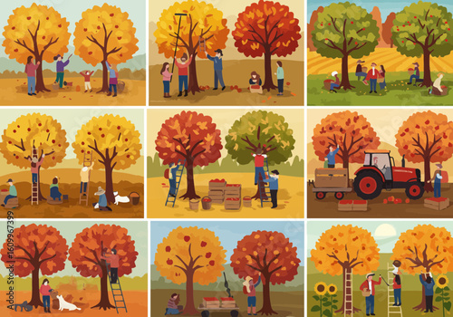 Collage depicting various scenes of people harvesting apples from trees during the autumn season, including ladders, baskets, and tractors.